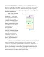 Bioremediation Using Engineered Microbes Reading Worksheet sample page
