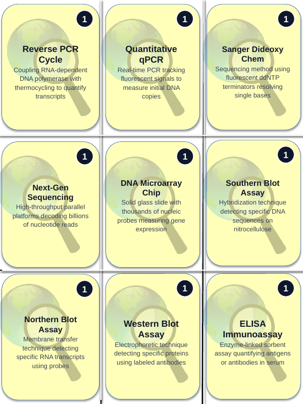 Biotechnology & Agronomy Applications Trivia Board Game sample page