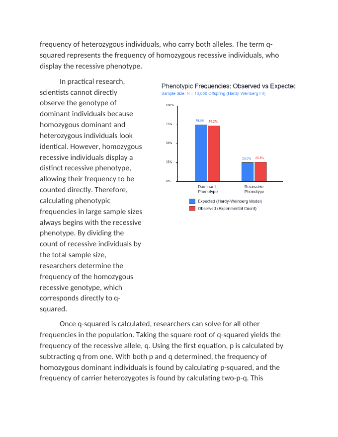 Calculating Phenotypic Frequencies in Large Sample Sizes Reading Worksheet sample page