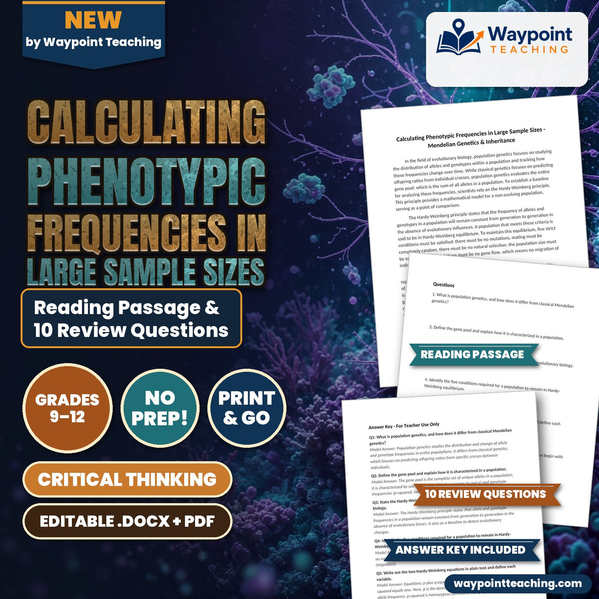 Calculating Phenotypic Frequencies in Large Sample Sizes Reading Worksheet cover
