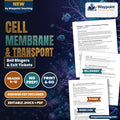 Cell Membrane & Transport Bell Ringers & Exit Tickets cover