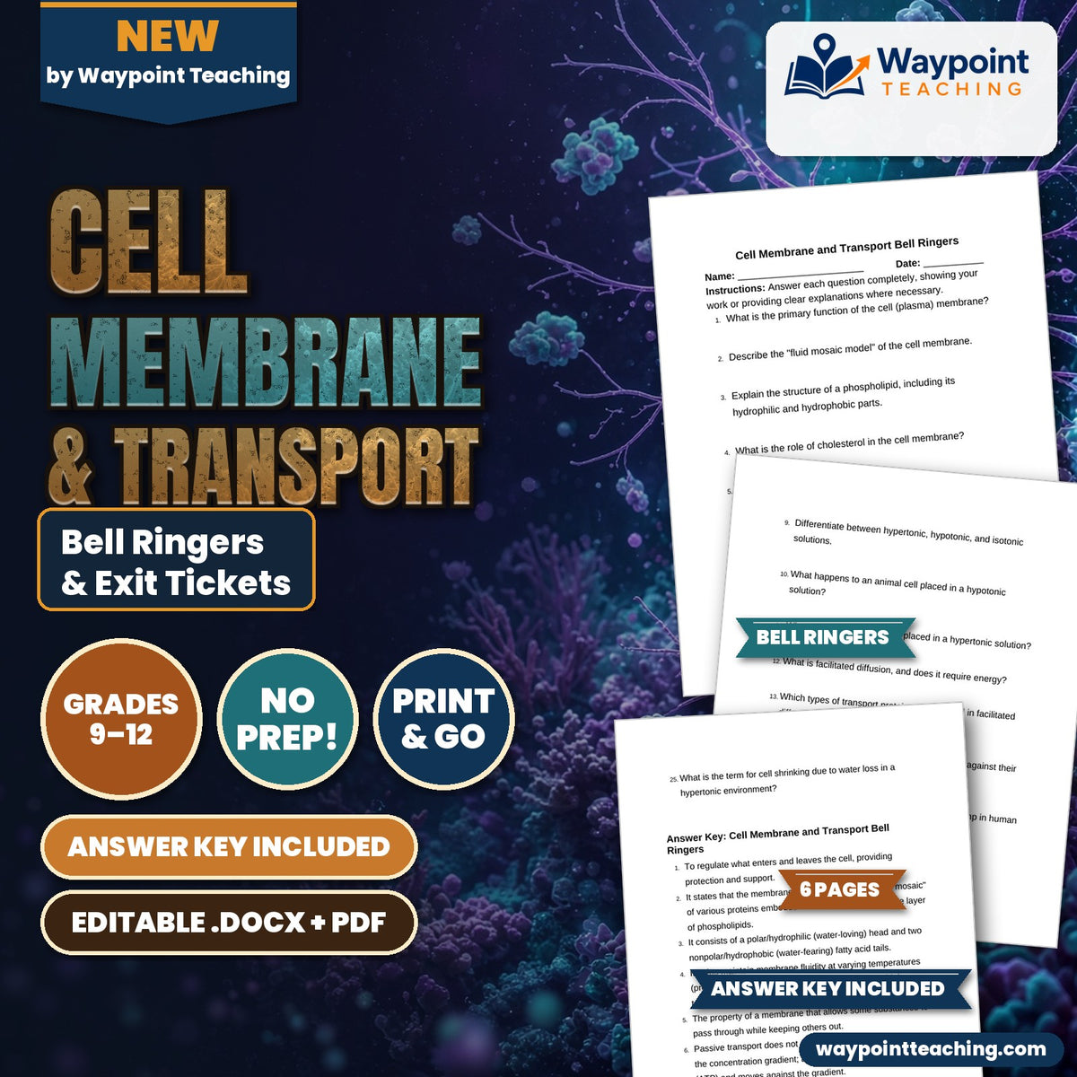 Cell Membrane & Transport Bell Ringers & Exit Tickets cover