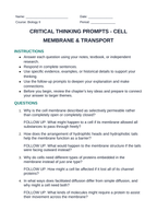 Cell Membrane & Transport Critical Thinking Prompts sample page