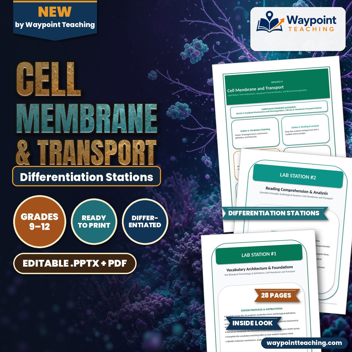Cell Membrane & Transport Differentiation Stations cover