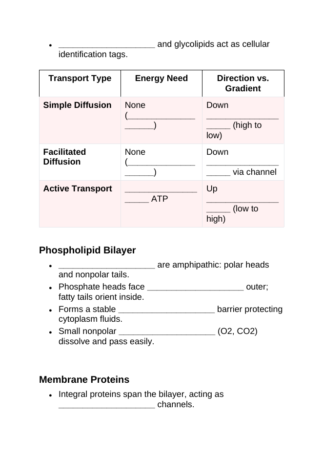 Cell Membrane & Transport Guided Notes sample page