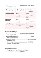 Cell Membrane & Transport Guided Notes sample page