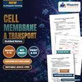 Cell Membrane & Transport Guided Notes cover