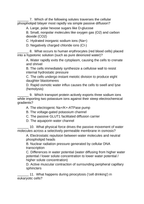 Cell Membrane & Transport Lesson Quiz sample page