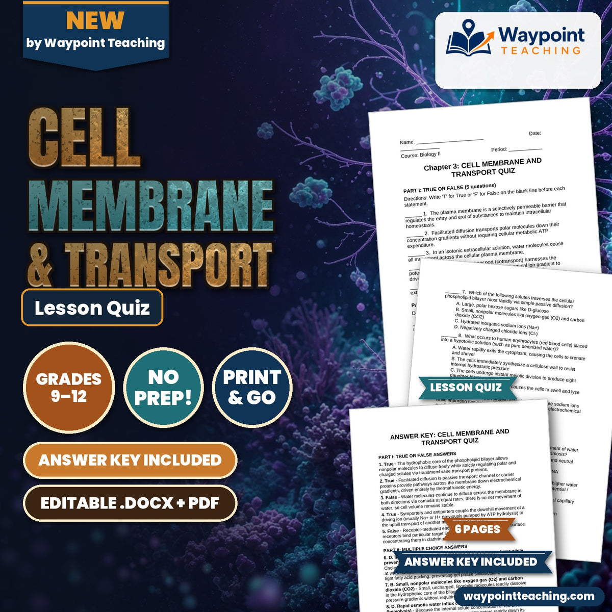 Cell Membrane & Transport Lesson Quiz cover