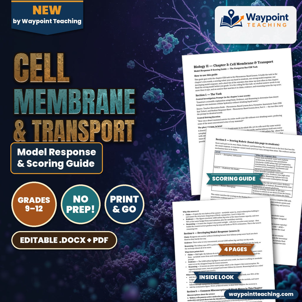 Cell Membrane & Transport Model Response & Scoring Guide cover