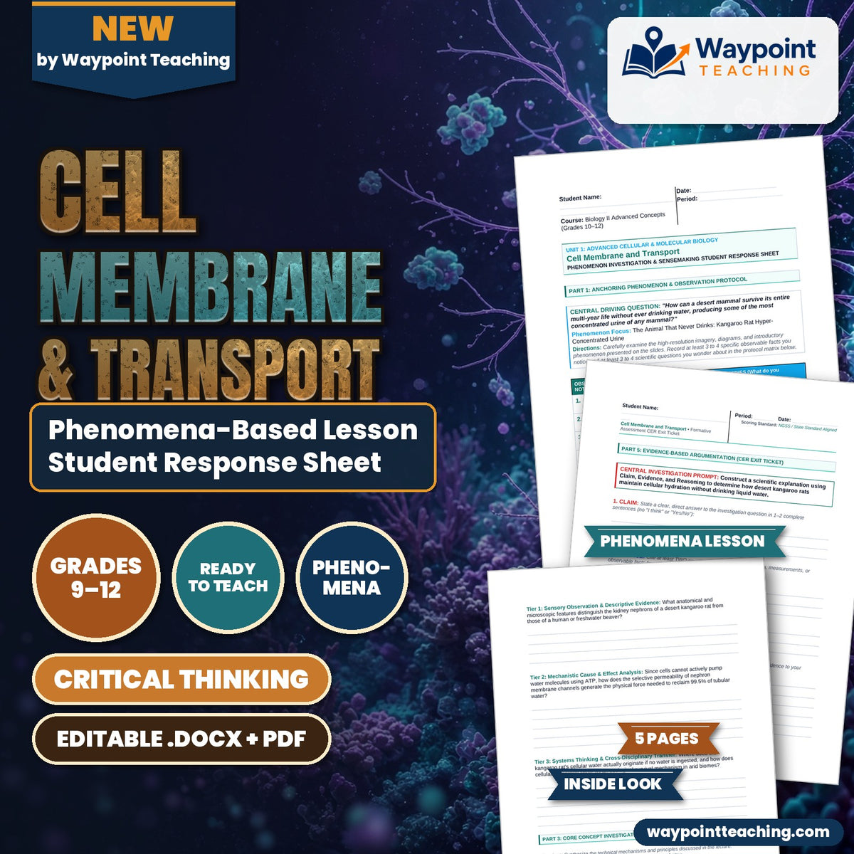 Cell Membrane & Transport Phenomena-Based Lesson: The Animal That Never Drinks: Kangaroo Rat Hyper-Concentrated Urine Student Response Sheet cover