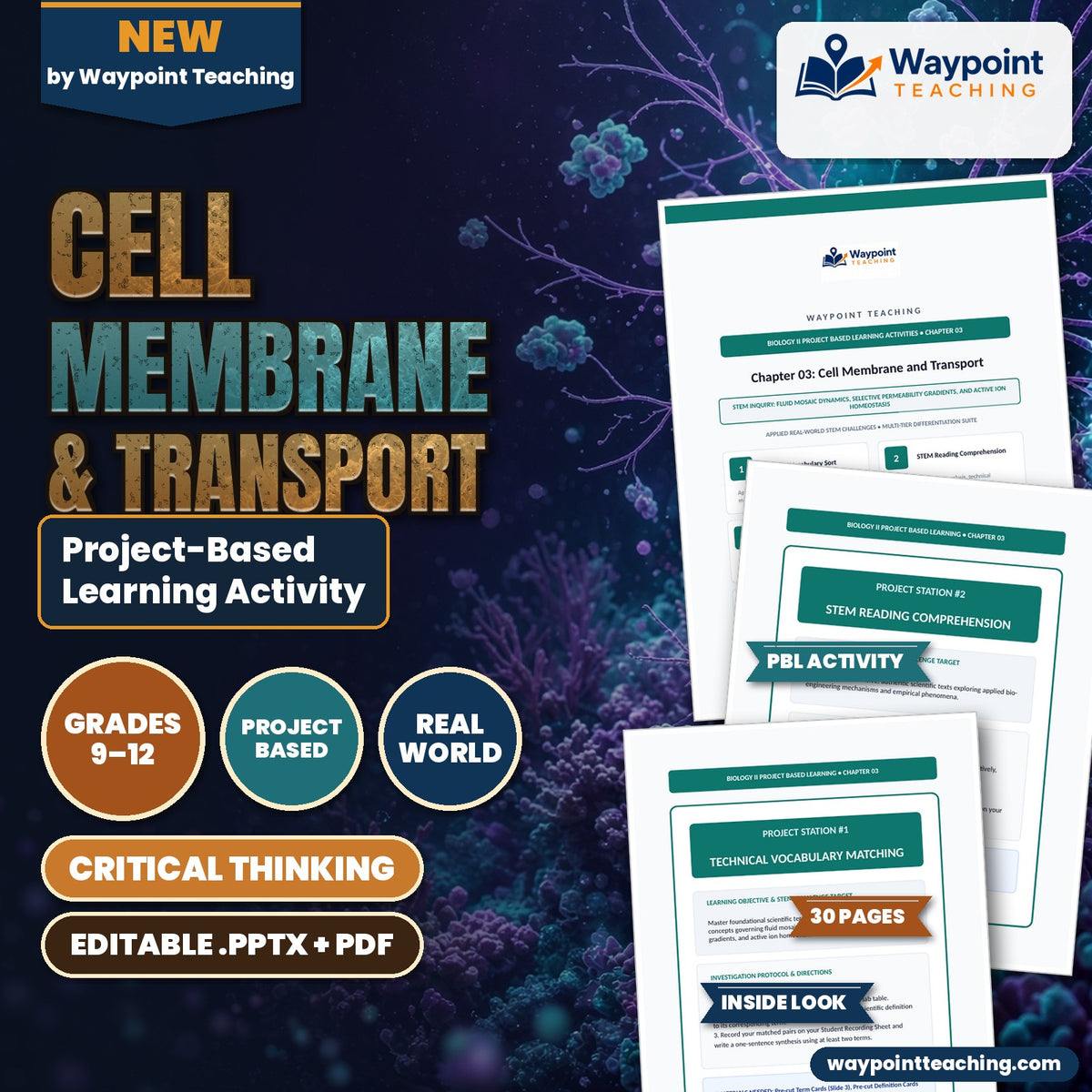 Cell Membrane & Transport Project-Based Learning Activity cover