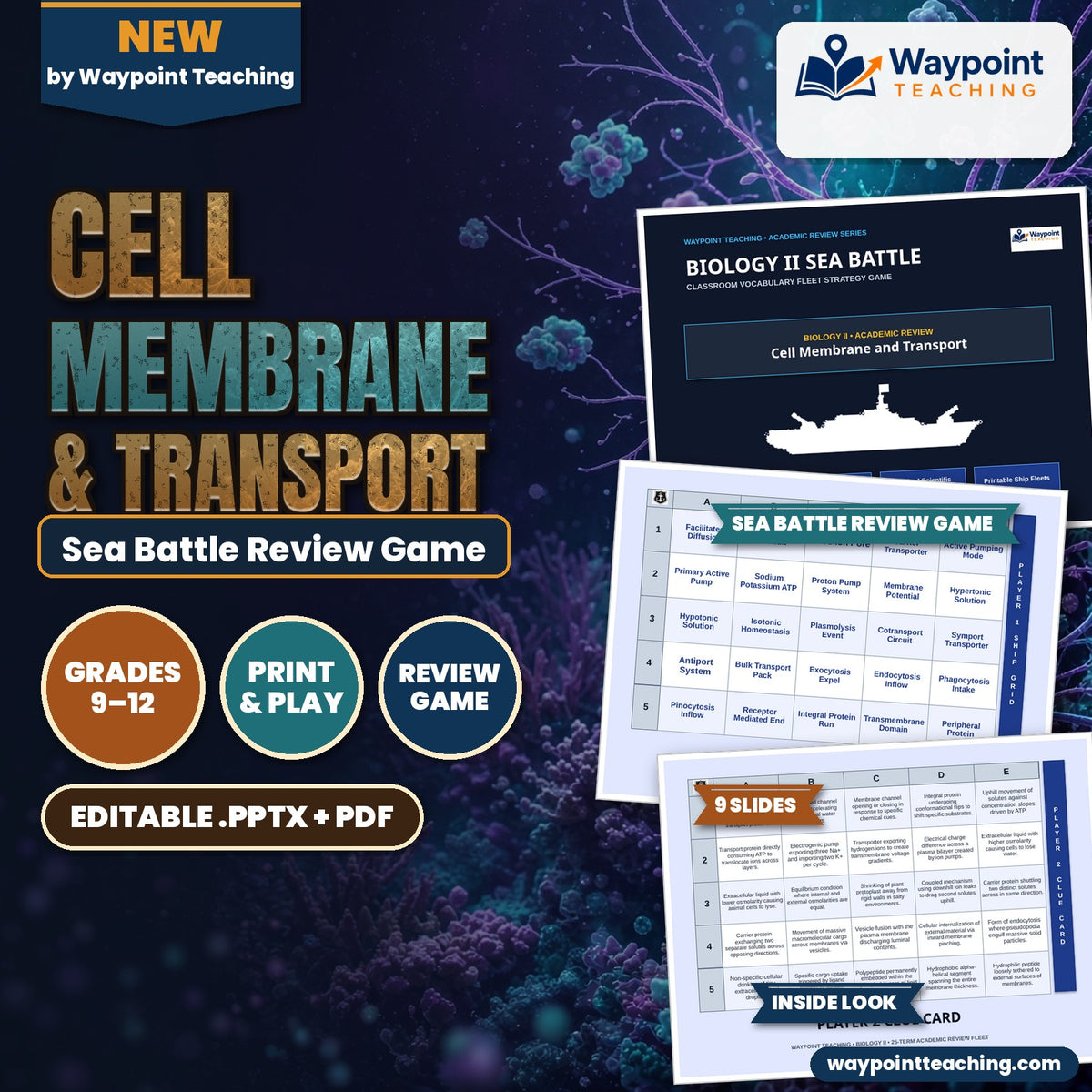 Cell Membrane & Transport Sea Battle Review Game cover