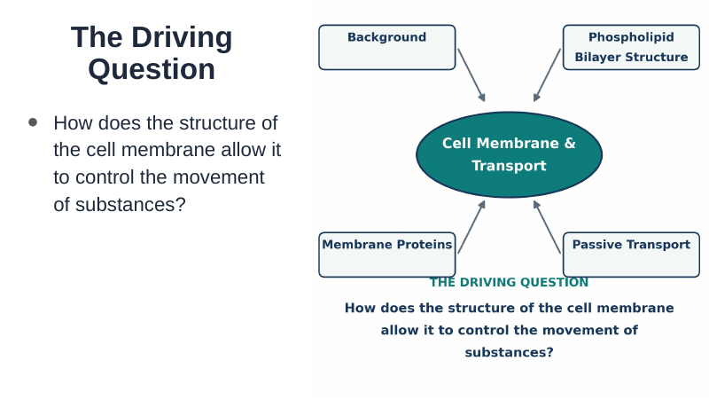Cell Membrane & Transport Substitute Slideshow & Teacher Guide sample page