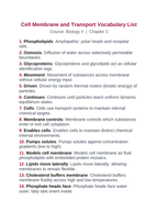 Cell Membrane & Transport Vocabulary Words & Definitions sample page