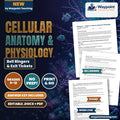 Cellular Anatomy & Physiology Bell Ringers & Exit Tickets cover