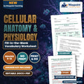 Cellular Anatomy & Physiology Fill-in-the-Blank Vocabulary Worksheet cover