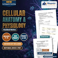 Cellular Anatomy & Physiology Guided Notes cover