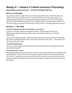 Cellular Anatomy & Physiology Model Response & Scoring Guide sample page