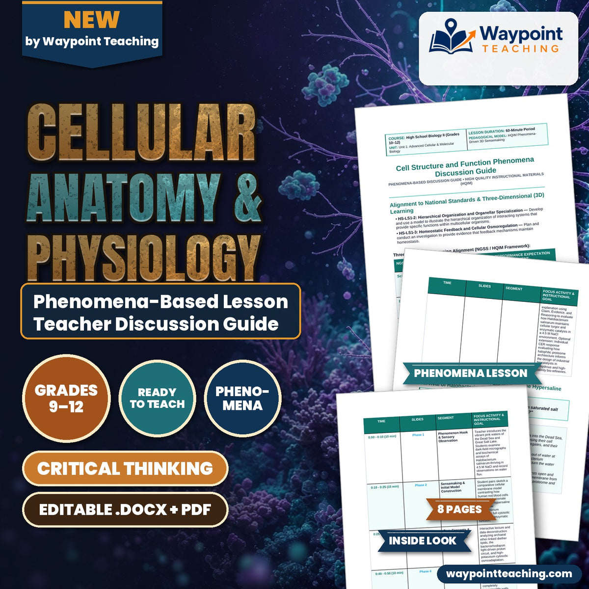 Cellular Anatomy & Physiology Phenomena-Based Lesson: Life in Liquid Salt: The Hypersaline Survival of Halobacterium salinarum Teacher Discussion Guide cover