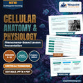 Cellular Anatomy & Physiology Phenomena-Based Lesson: Life in Liquid Salt: The Hypersaline Survival of Halobacterium salinarum Presentation cover