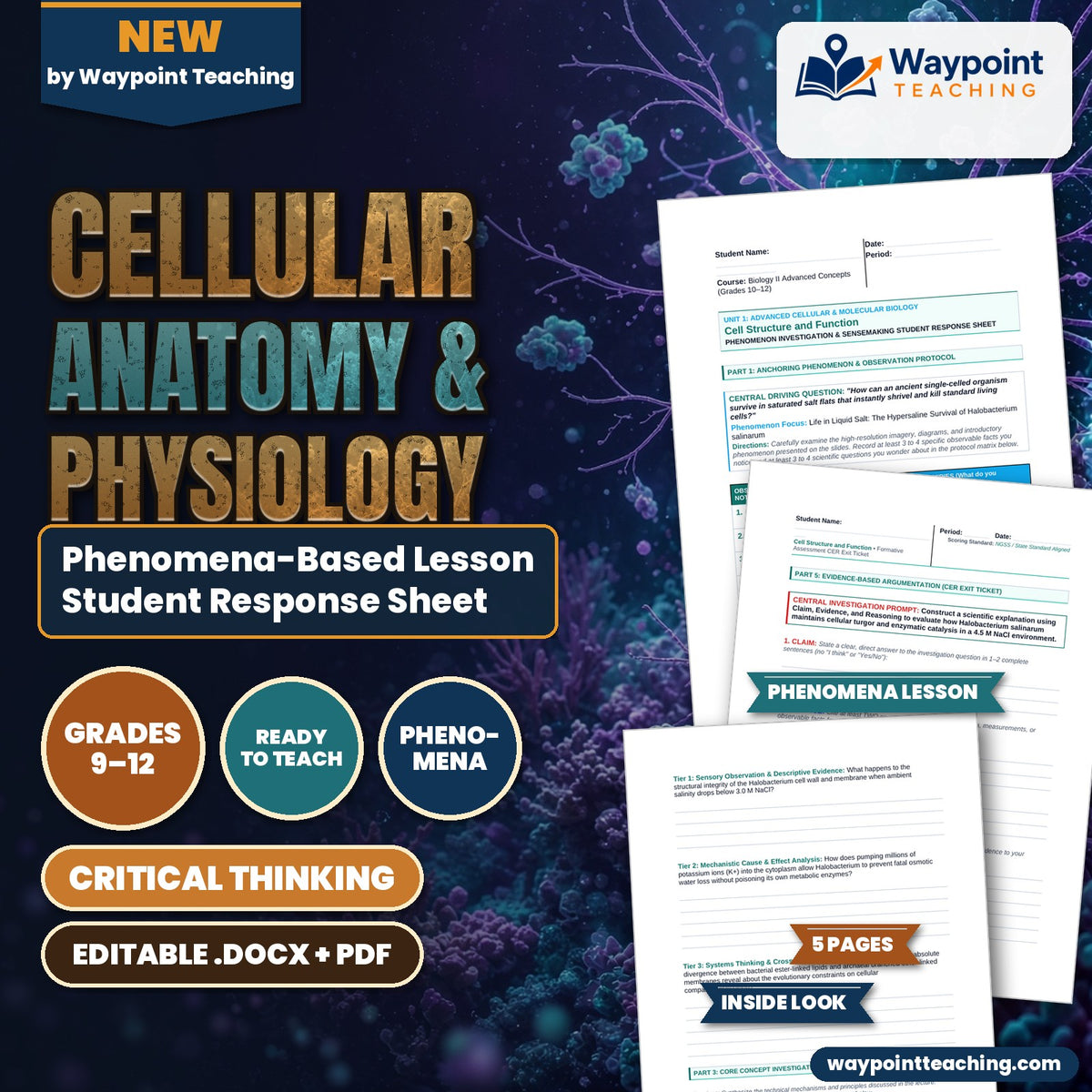 Cellular Anatomy & Physiology Phenomena-Based Lesson: Life in Liquid Salt: The Hypersaline Survival of Halobacterium salinarum Student Response Sheet cover