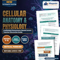 Cellular Anatomy & Physiology Scaffolded Phenomena-Based Lesson: Life in Liquid Salt: The Hypersaline Survival of Halobacterium salinarum Teacher Discussion Guide cover