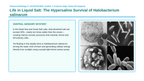 Cellular Anatomy & Physiology Scaffolded Phenomena-Based Lesson: Life in Liquid Salt: The Hypersaline Survival of Halobacterium salinarum Presentation sample page
