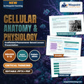 Cellular Anatomy & Physiology Scaffolded Phenomena-Based Lesson: Life in Liquid Salt: The Hypersaline Survival of Halobacterium salinarum Presentation cover