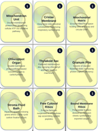 Cellular Anatomy & Physiology Trivia Board Game sample page