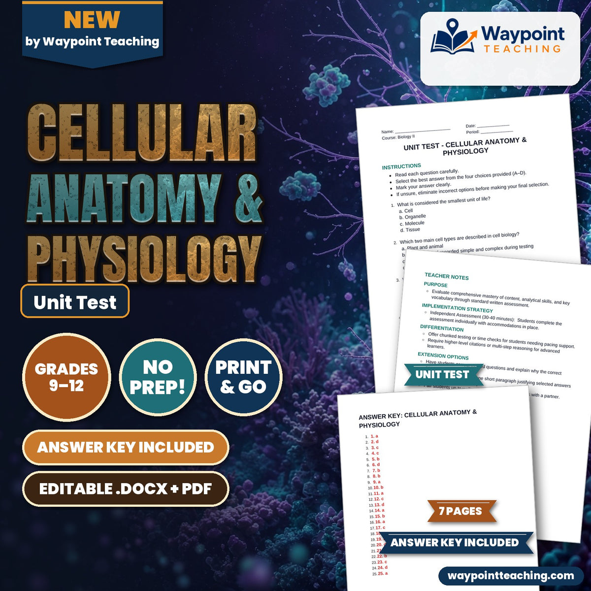 Cellular Anatomy & Physiology Unit Test cover