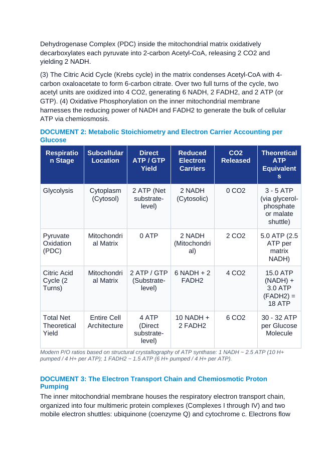 Cellular Respiration: Glycolysis, Pyruvate Dehydrogenase, Krebs Cycle, and Oxidative Phosphorylation Efficiency CER Phenomena Worksheet sample page