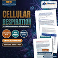 Cellular Respiration: Glycolysis, Pyruvate Dehydrogenase, Krebs Cycle, and Oxidative Phosphorylation Efficiency CER Phenomena Worksheet cover