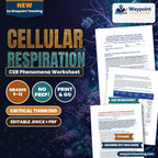 Cellular Respiration: Glycolysis, Pyruvate Dehydrogenase, Krebs Cycle, and Oxidative Phosphorylation Efficiency CER Phenomena Worksheet cover