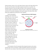 Chromatin Condensation and Histone Interactions Reading Worksheet sample page