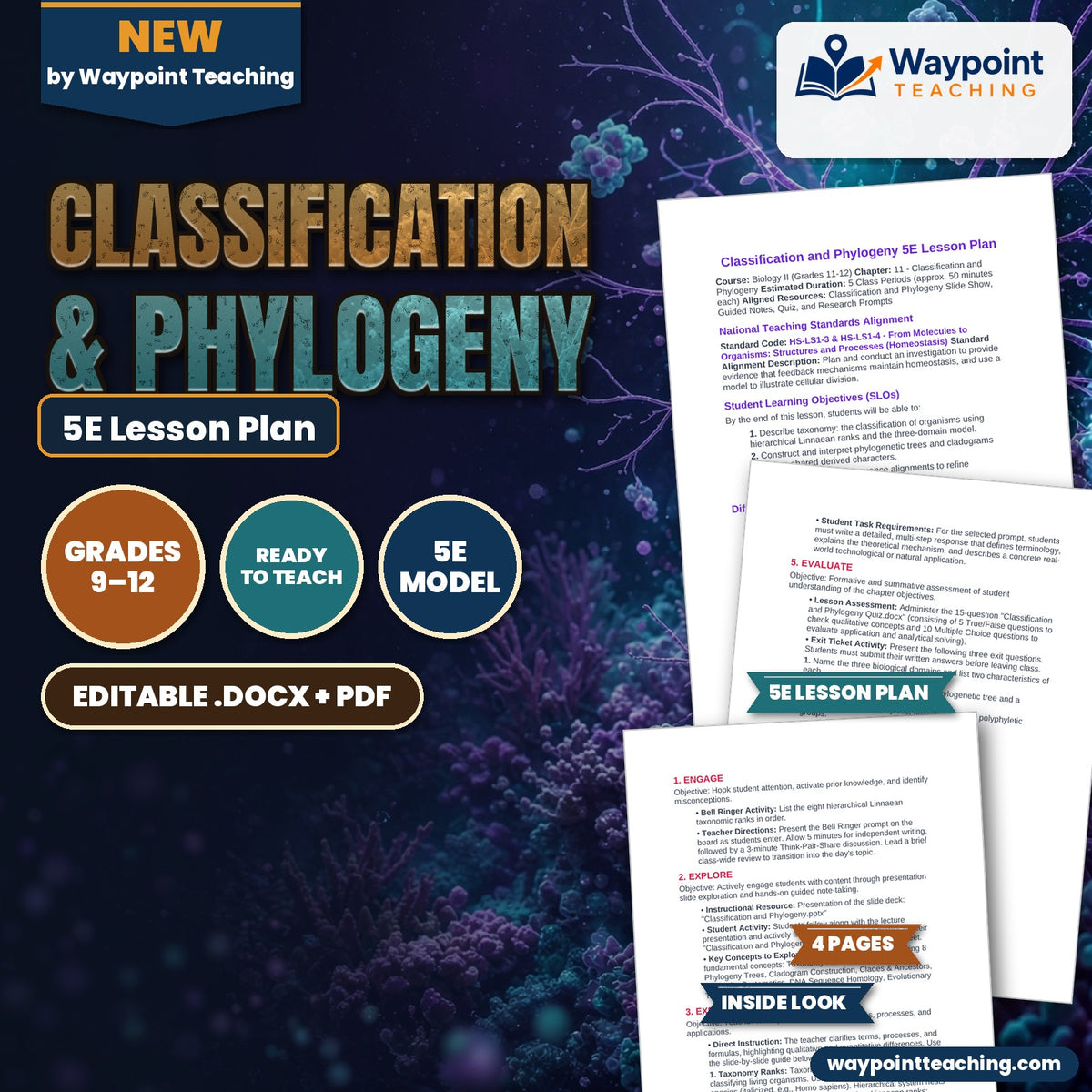 Classification & Phylogeny 5E Lesson Plan cover