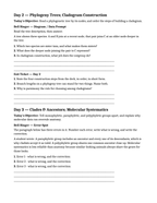 Classification & Phylogeny Bell Ringers & Exit Tickets sample page