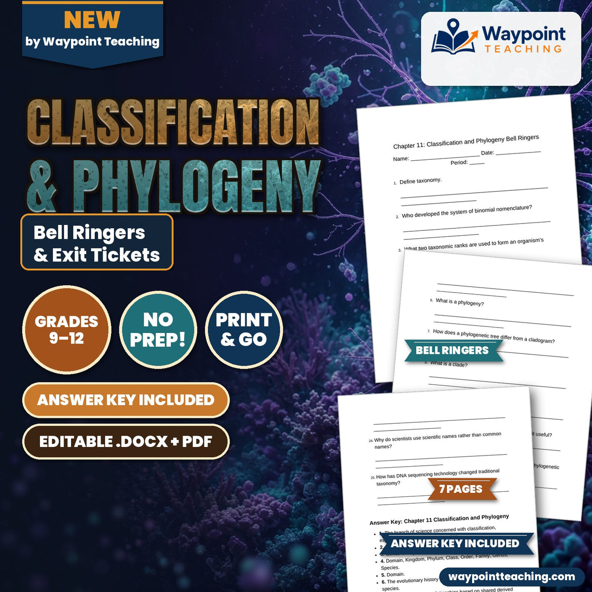 Classification & Phylogeny Bell Ringers & Exit Tickets cover