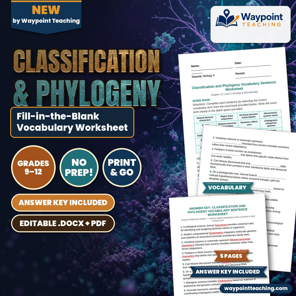 Classification & Phylogeny Fill-in-the-Blank Vocabulary Worksheet cover