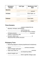 Classification & Phylogeny Guided Notes sample page