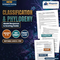 Classification & Phylogeny Model Response & Scoring Guide cover