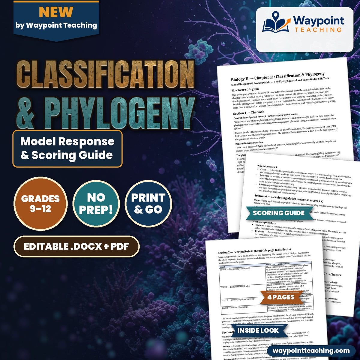 Classification & Phylogeny Model Response & Scoring Guide cover