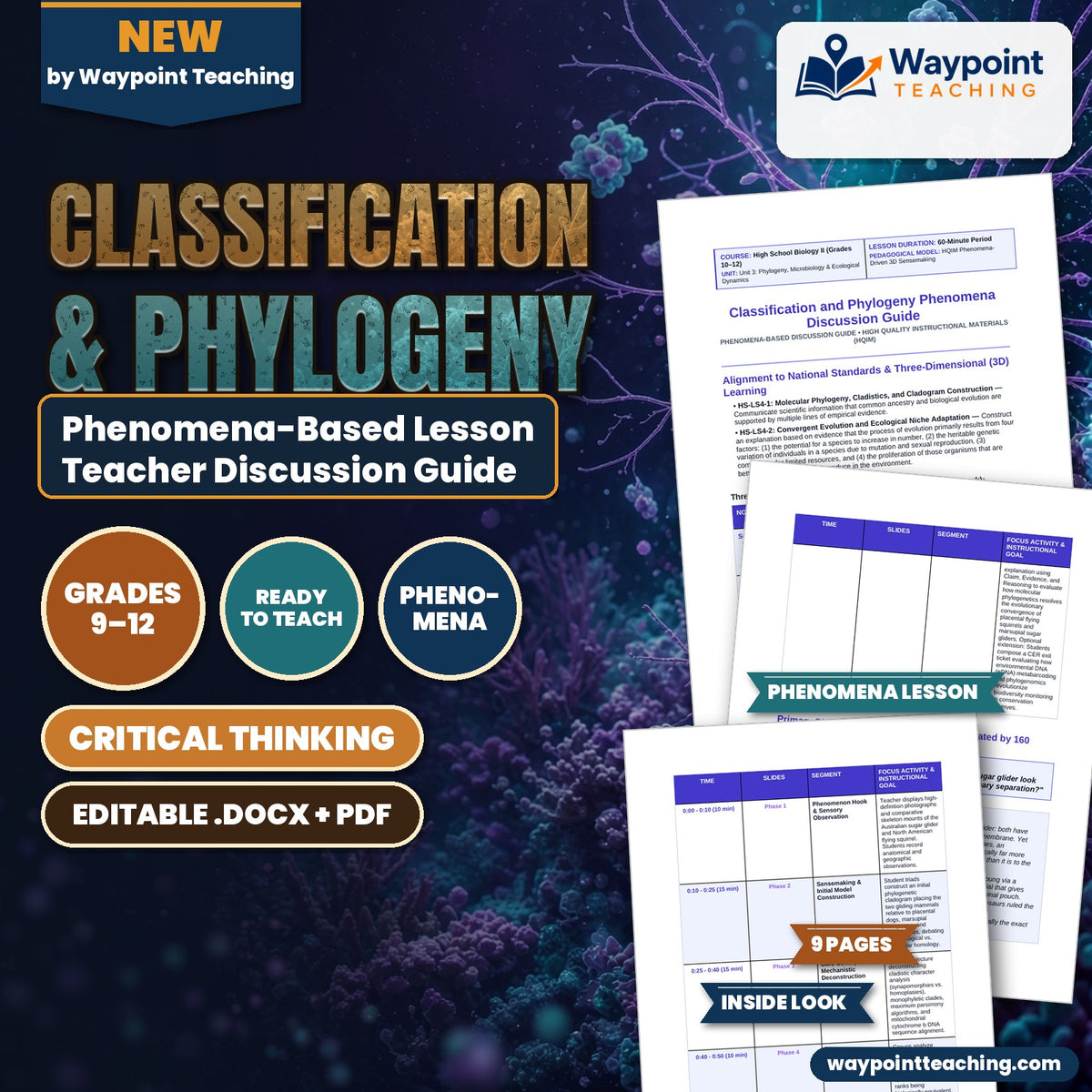 Classification & Phylogeny Phenomena-Based Lesson: Identical Twins Separated by 160 Million Years: The Gliding Mammal Paradox Teacher Discussion Guide cover