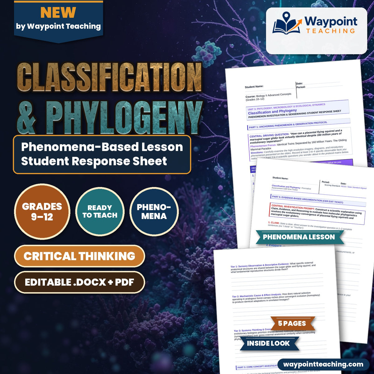 Classification & Phylogeny Phenomena-Based Lesson: Identical Twins Separated by 160 Million Years: The Gliding Mammal Paradox Student Response Sheet cover