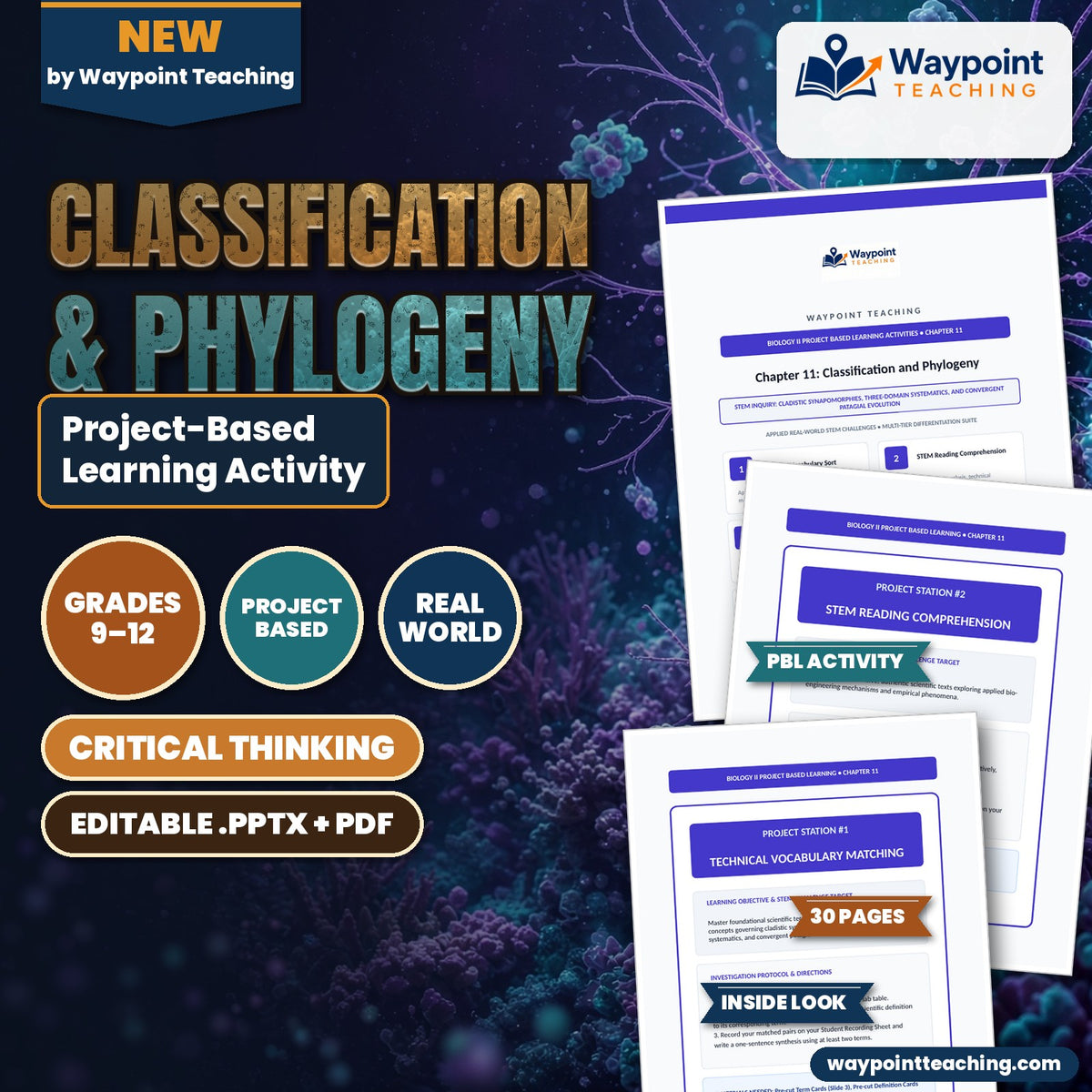 Classification & Phylogeny Project-Based Learning Activity cover