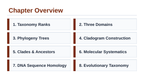 Classification & Phylogeny Slide Show Presentation sample page