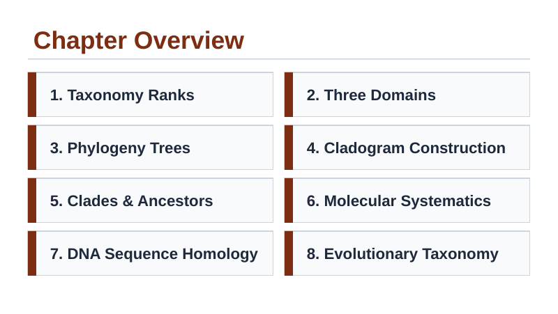 Classification & Phylogeny Slide Show Presentation sample page