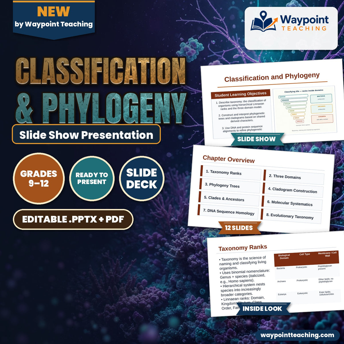 Classification & Phylogeny Slide Show Presentation cover