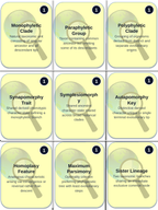 Classification & Phylogeny Trivia Board Game sample page
