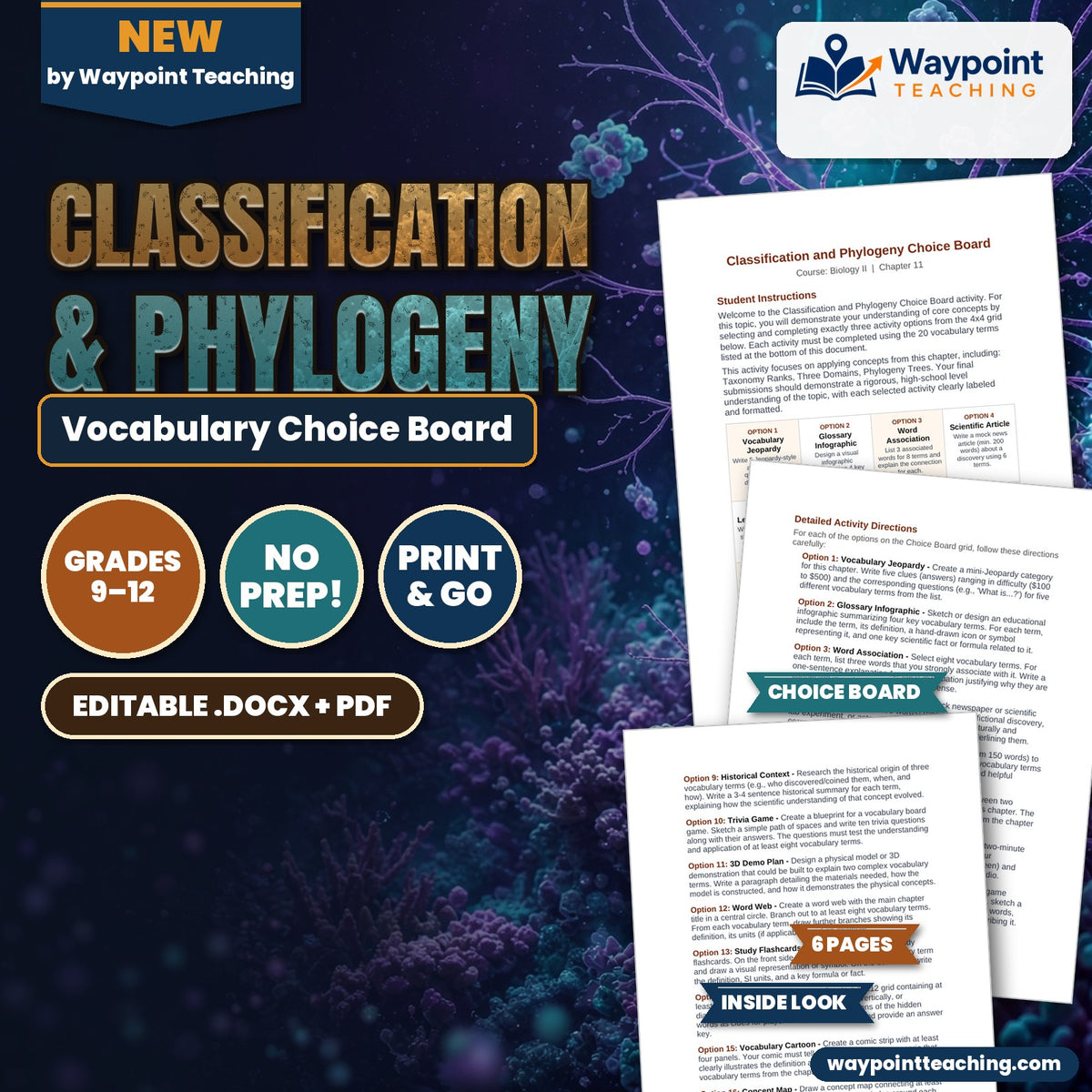 Classification & Phylogeny Vocabulary Choice Board cover